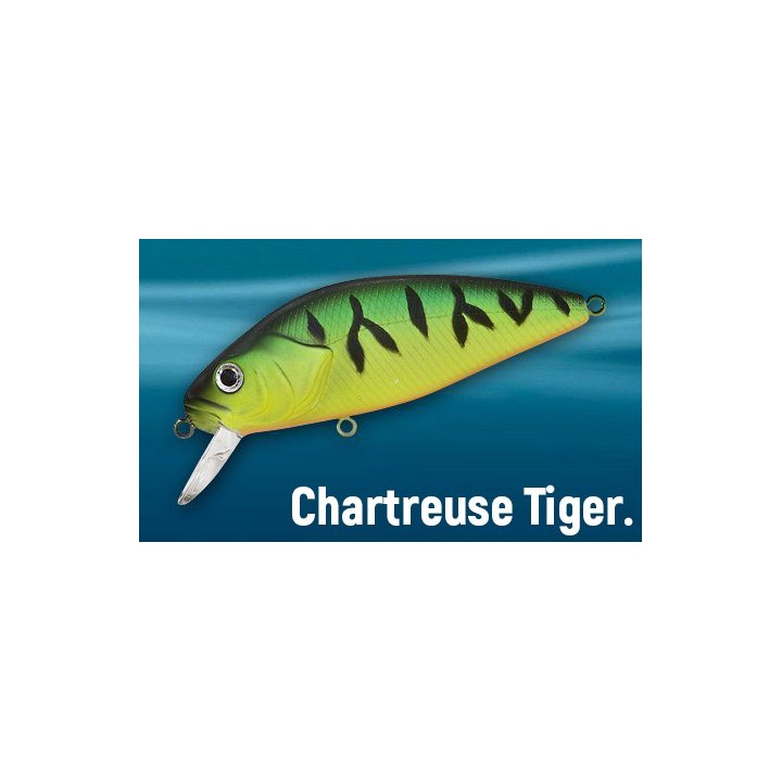 Asakura Perch 10cm DR/F