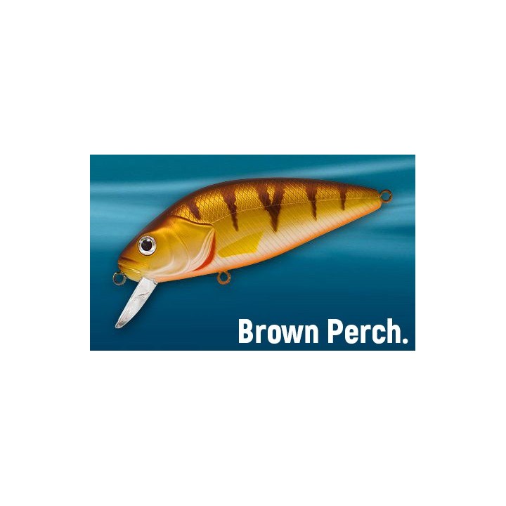 Asakura Perch 10cm DR/F
