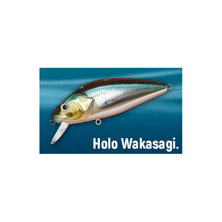 Asakura Perch 8cm SDR/F