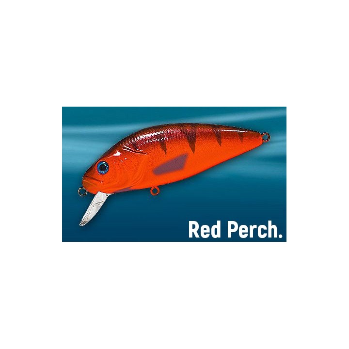Asakura Perch 8cm SDR/F