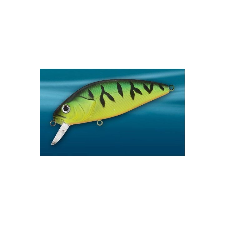 Asakura Perch 8cm DR/F