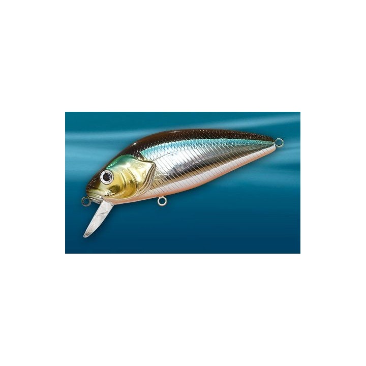 Asakura Perch 8cm DR/F