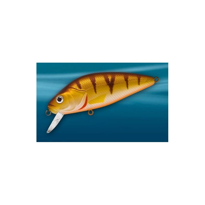 Asakura Perch 8cm DR/F