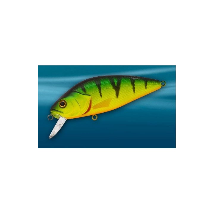 Asakura Perch 8cm DR/F