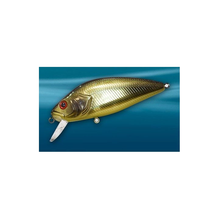 Asakura Perch 8cm DR/F