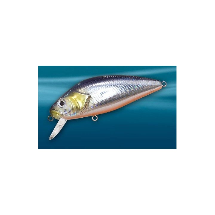 Asakura Perch 8cm DR/F