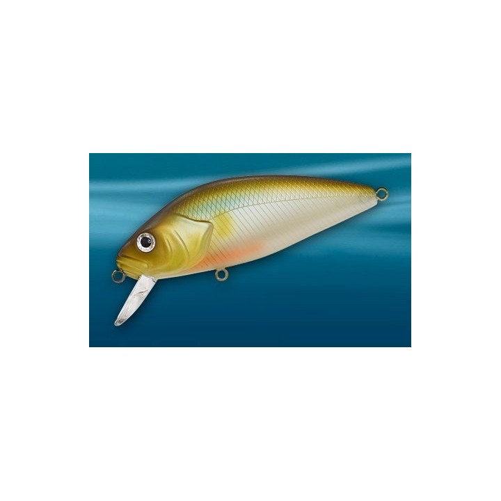 Asakura Perch 8cm DR/F