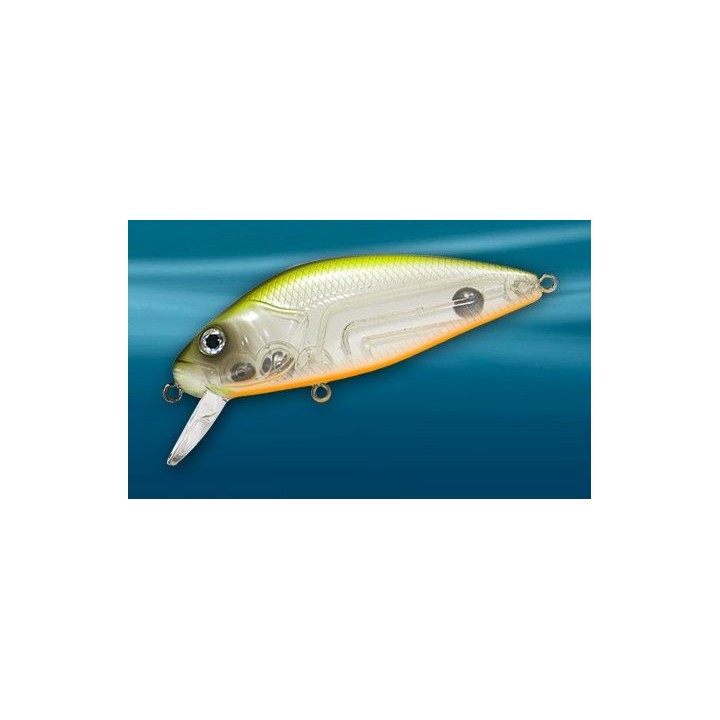 Asakura Perch 8cm DR/F