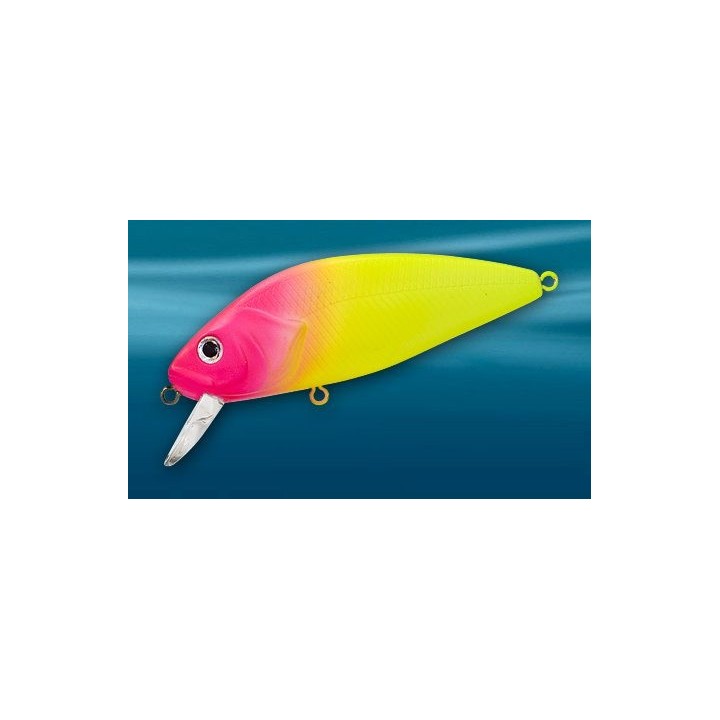 Asakura Perch 8cm DR/F