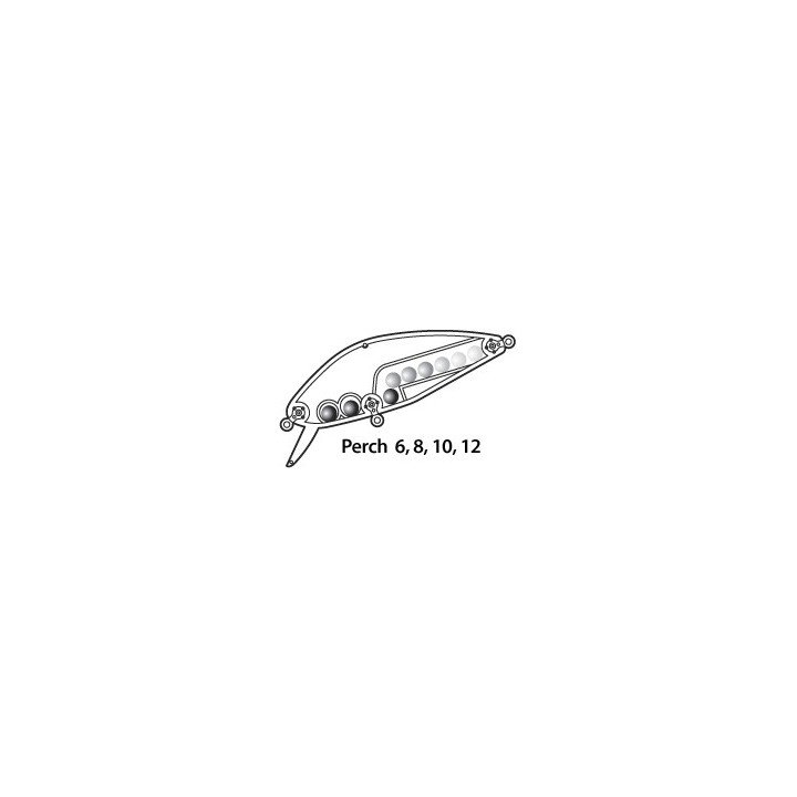 Asakura Perch 8cm DR/F