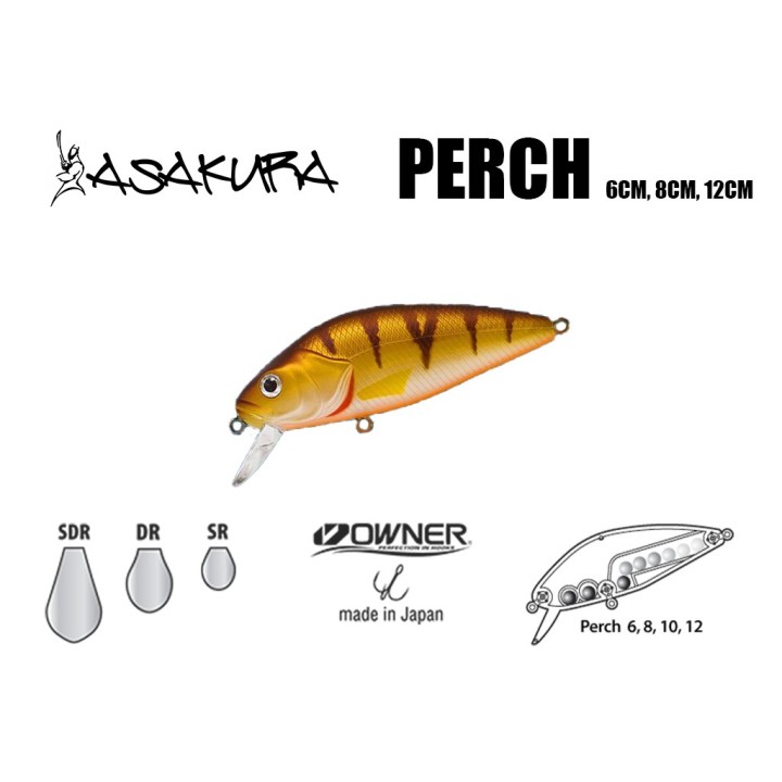 Asakura Perch 8cm DR/F