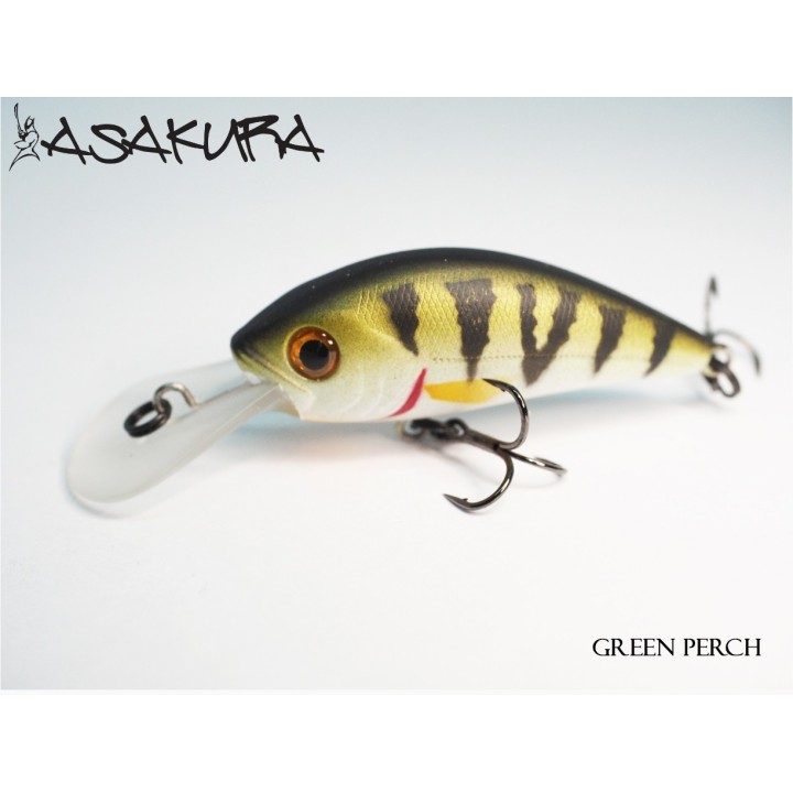 Asakura S-Hornet 4cm SR/F