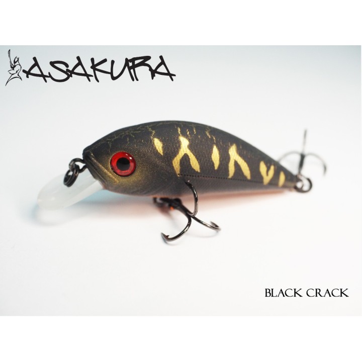 Asakura S-Hornet 4cm SR/F