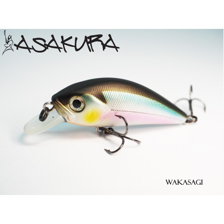 Asakura S-Hornet 4cm SR/F