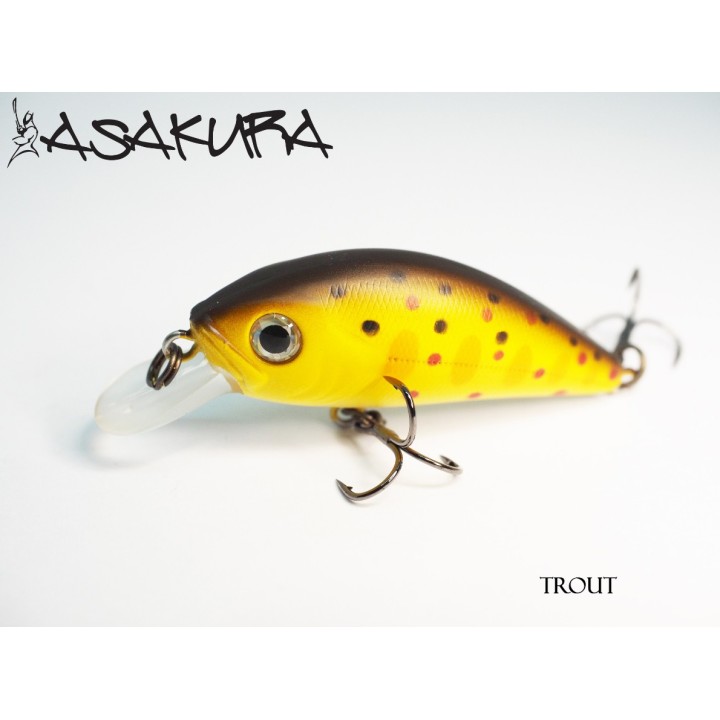 Asakura S-Hornet 4cm SR/F