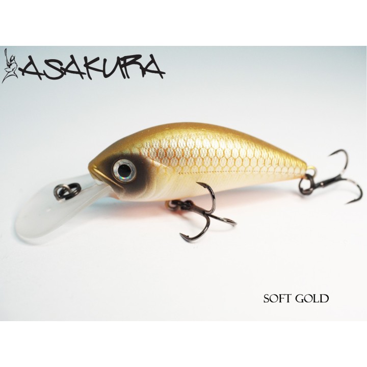 Asakura S-Hornet 4cm DR/F