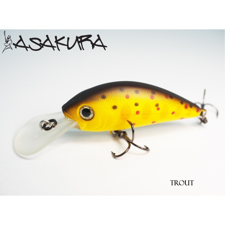 Asakura S-Hornet 4cm DR/F