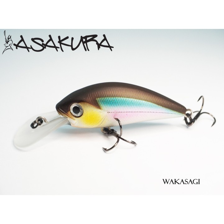 Asakura S-Hornet 4cm DR/F