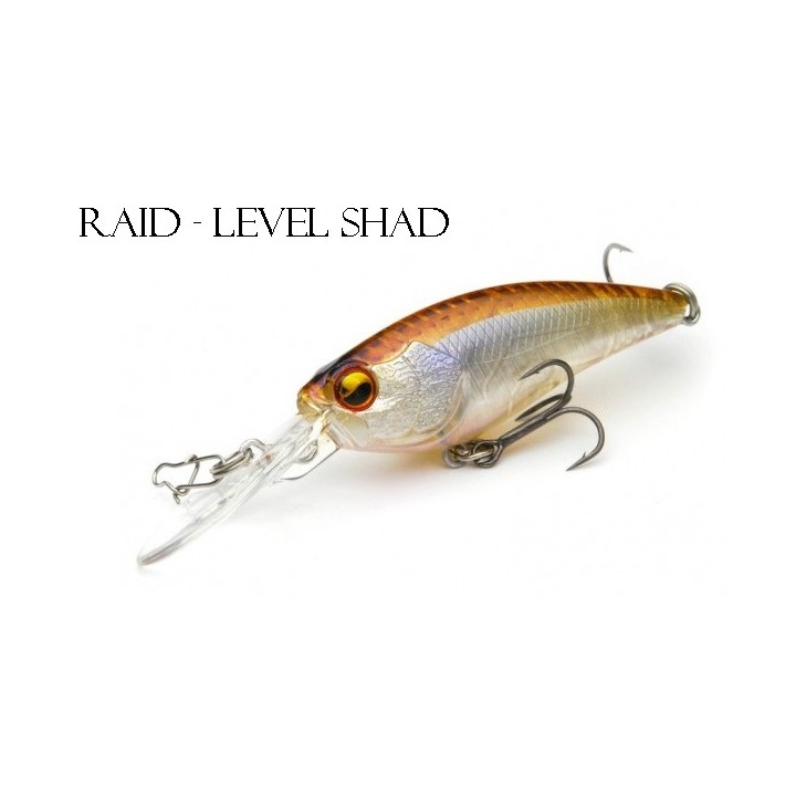RAID - level Shad