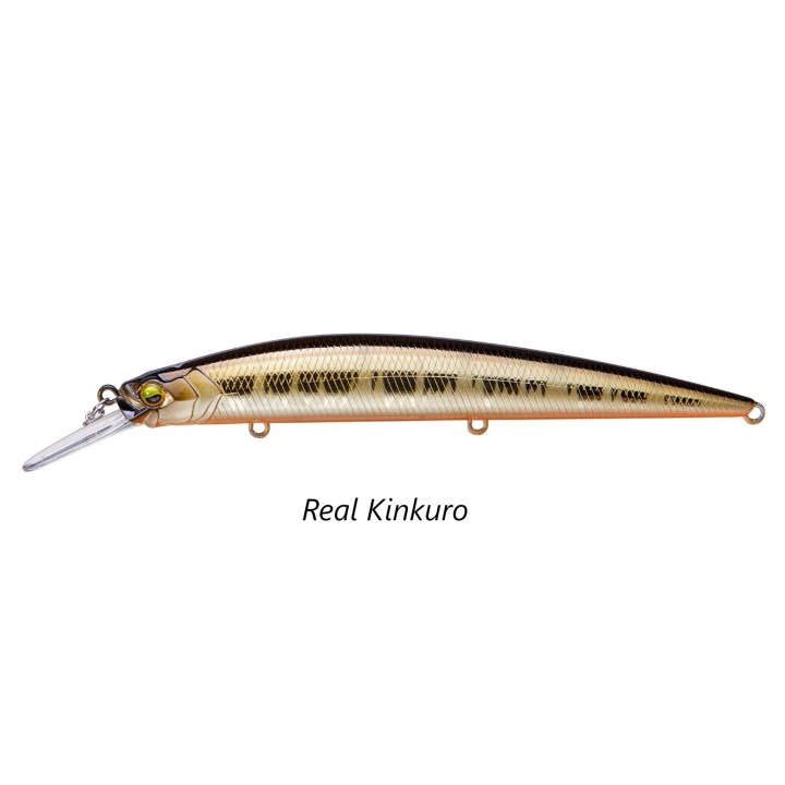 Raid - Level Minnow Plus