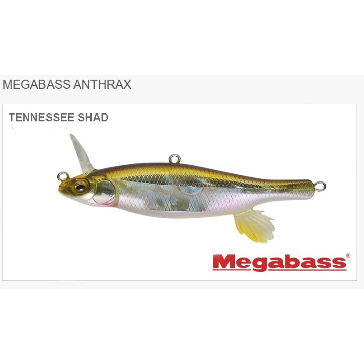 Megabass Anthrax