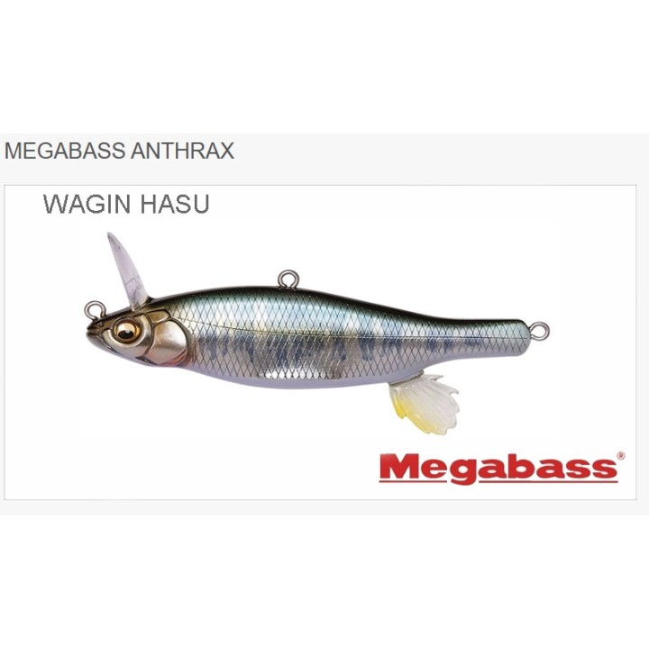 Megabass Anthrax