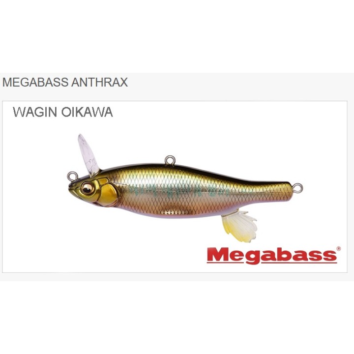 Megabass Anthrax