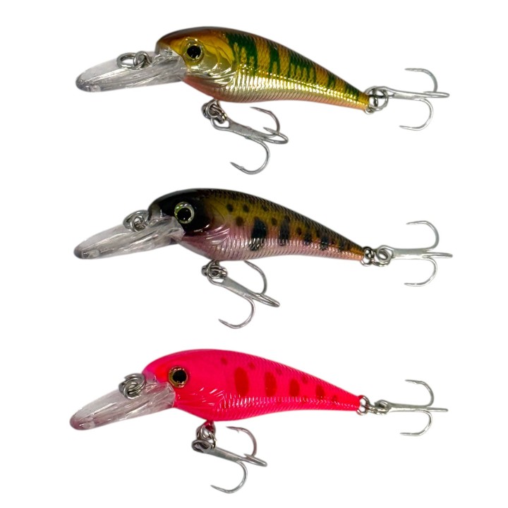 Force10 Obk Lr Billabong Bug 6