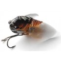 Fishing Lures