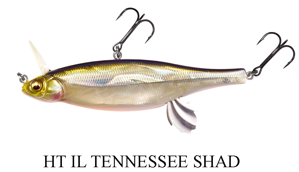 ANTHRAX 100 HT IL TENNESSEE SHAD.jpg