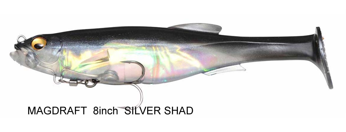 silver%20shad.jpg