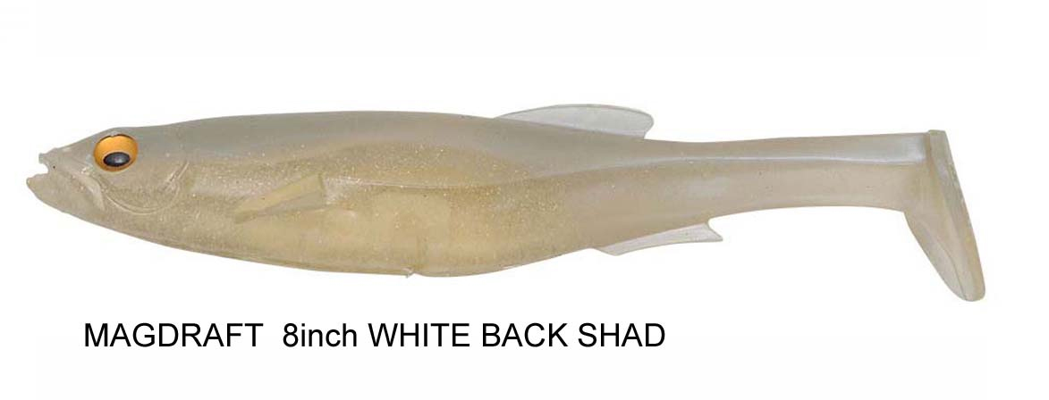 white%20back%20shad.jpg