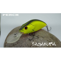 Asakura Perch 10cm DR/F