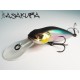 Asakura Bullhead 6cm DR/F