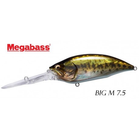 BIG-M 7.5 - Viva Fishing Australia