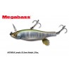 Megabass Anthrax