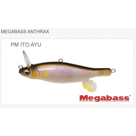 Megabass Anthrax