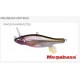 Megabass Anthrax