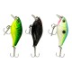 Force10 Outback Lure Dancer 8