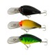 Force10 Outback Lure Mauler 5