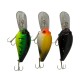 Force10 Outback Lure Mauler 5